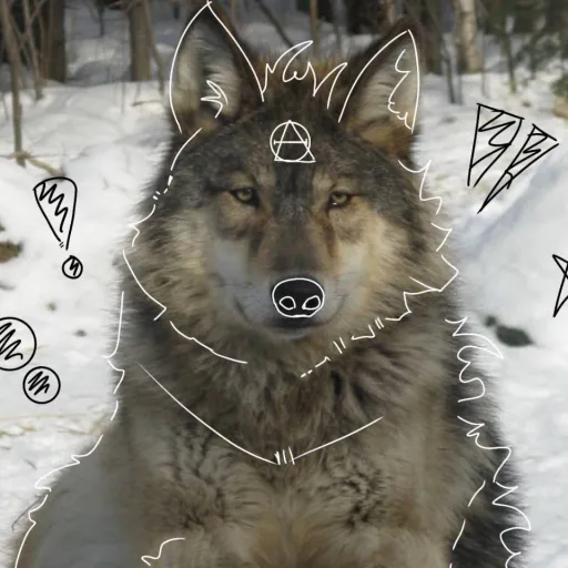 creator ¥£Moon on paws¥£'s avatar