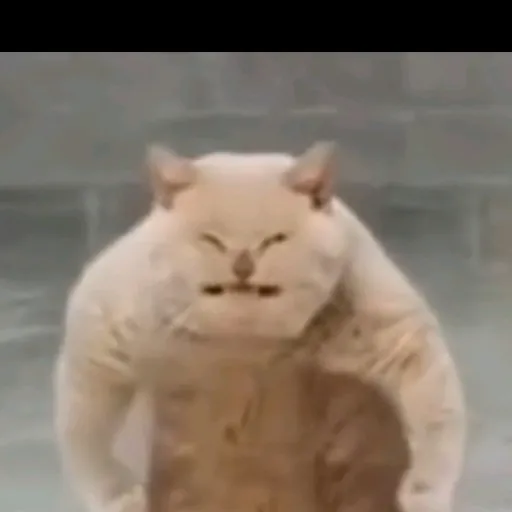 creator BRUH192's avatar