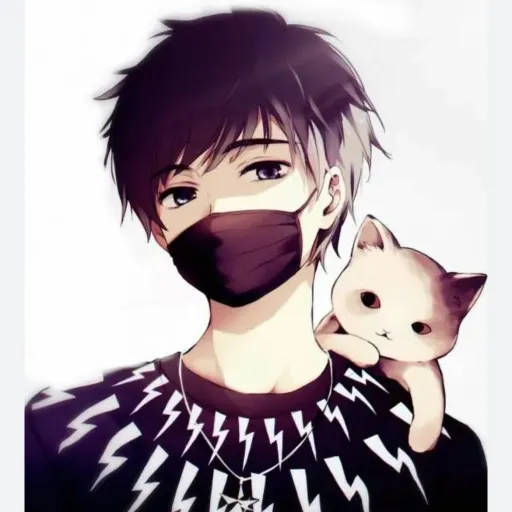 creator I like dogs and ca's avatar