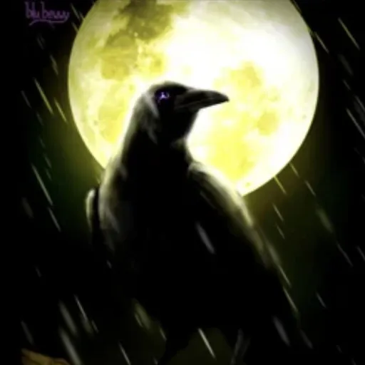 creator Xx_DarkXwolf17_xX's avatar