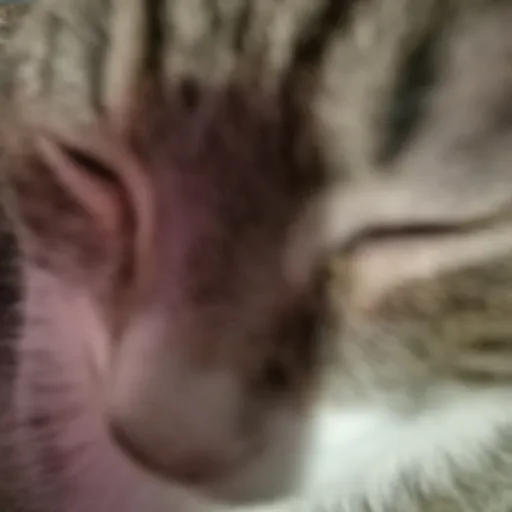 creator KITTTYYYYYUUUUHHHH's avatar