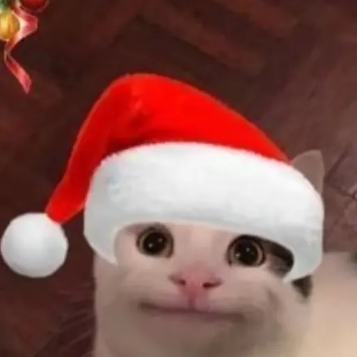 creator maaicaa's avatar
