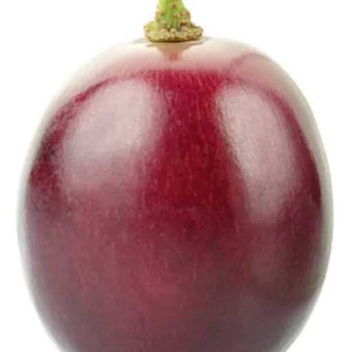 creator Grape0224's avatar
