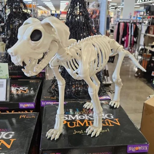creator deaddog's avatar