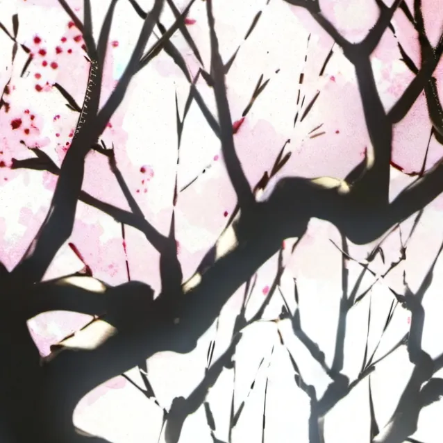 chat with ai character: Kimi Ni Todoke