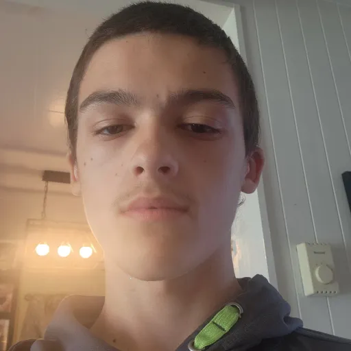 creator 🫱(‿¤‿)🫲's avatar