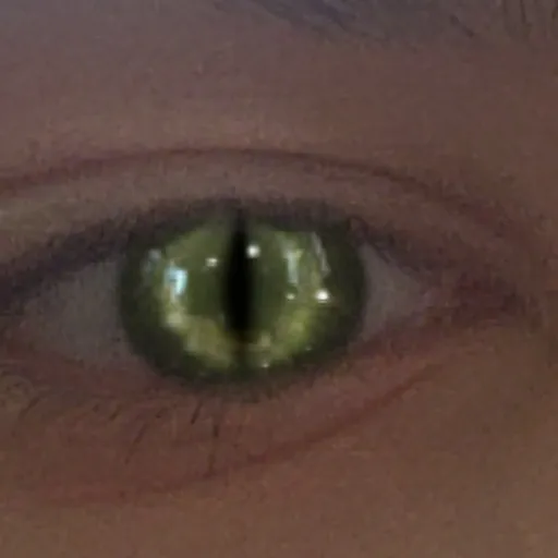 creator 🫱(‿¤‿)🫲's avatar