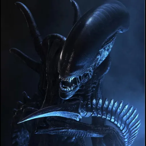 creator Mrcy's avatar