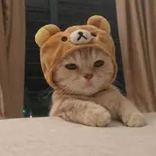 creator Cats.are.way.bett's avatar