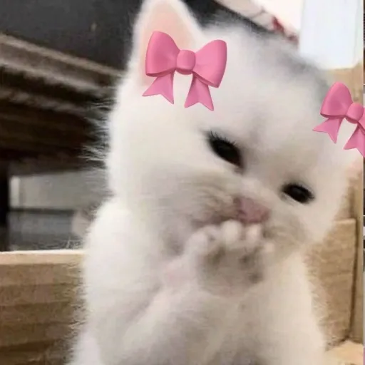 creator neow-yake's avatar
