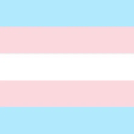 creator tranflag's avatar