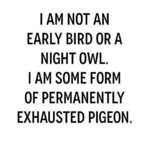 creator Tired_Pigeon's avatar
