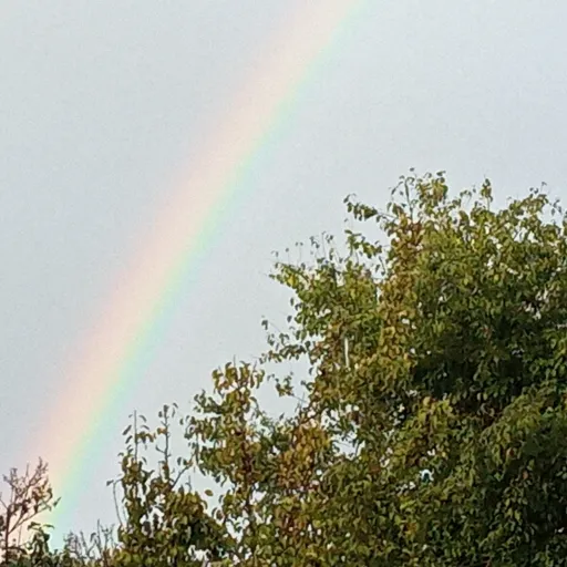 creator AliceYT's avatar