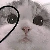 creator U-4nQKhU4C4NJCH's avatar