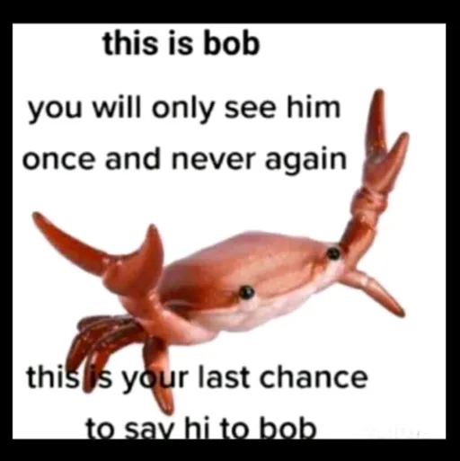 creator 🦀bob the crab🦀's avatar