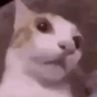 creator Auds.'s avatar
