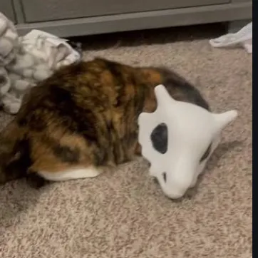 creator cubone cat's avatar
