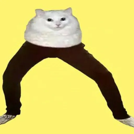 creator ✧(。•̀ᴗ-)✧Yahooo!'s avatar