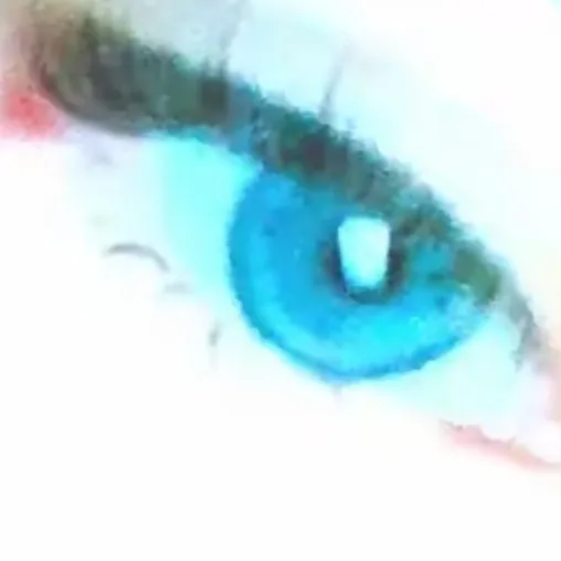 creator Weirdoo :D's avatar