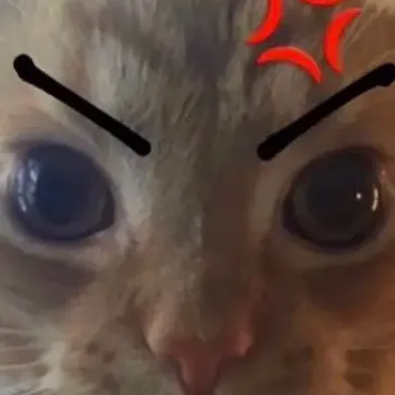 creator Angrycatty's avatar