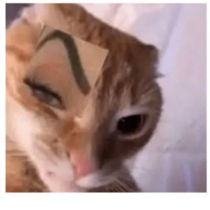creator ⚡Densou🐱or⚡Denrou🎧's avatar