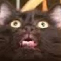 creator badasspluskawaii's avatar