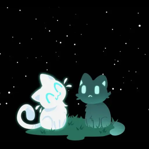creator Meow club's avatar
