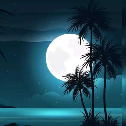 creator moon_🌑⭐️🌈's avatar
