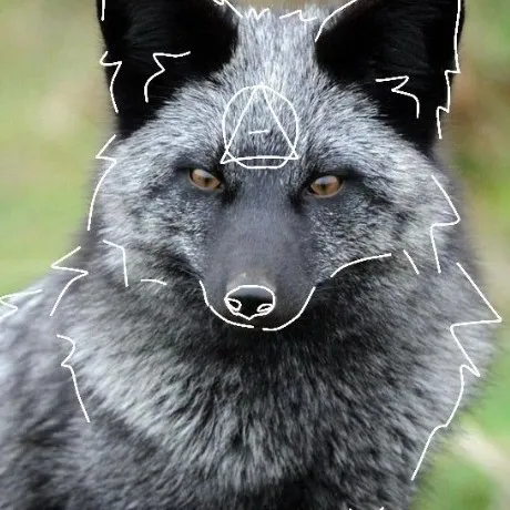 creator molly_therian's avatar