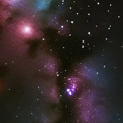 chat with ai character: Class 1A Dorm Pets