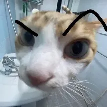 creator Kitty _911911's avatar