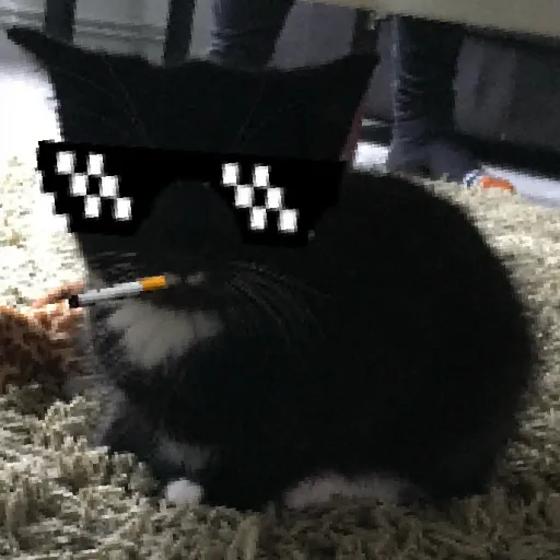 creator Shady1215's avatar