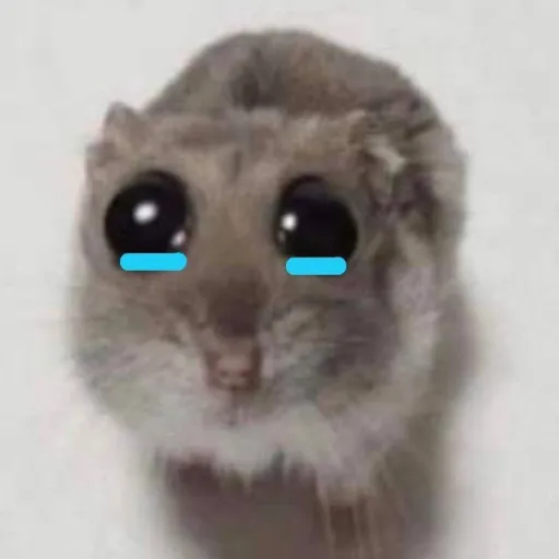 creator Clude's avatar