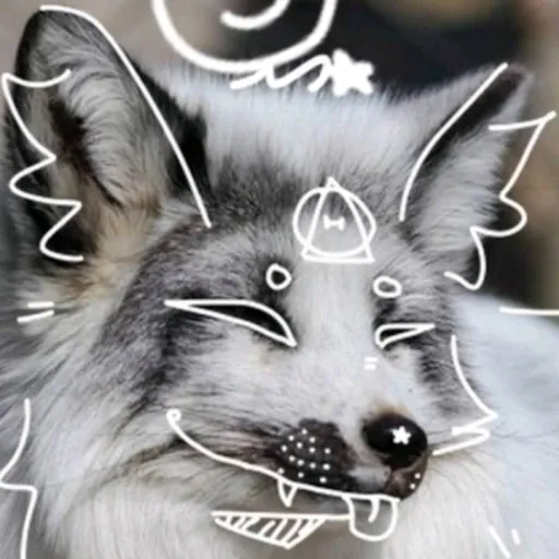 creator Nova_Eclipse's avatar