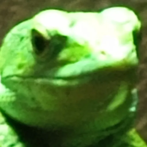 creator LizardBlizzard's avatar