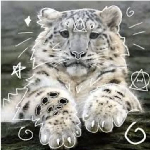 creator + Snøw Leøpård +'s avatar