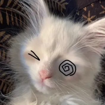 creator Itz_Cloudy's avatar