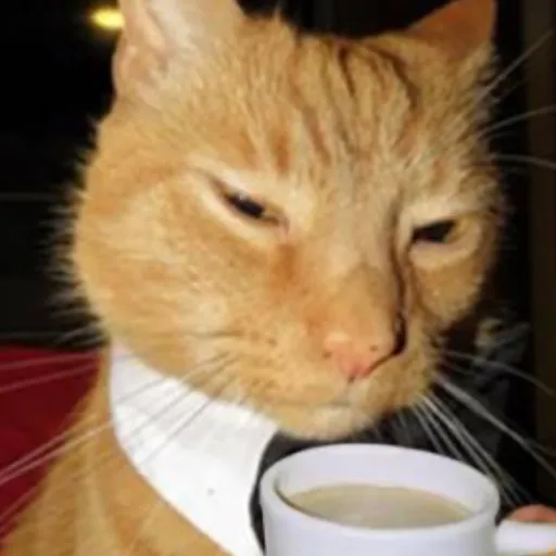 creator I’m not really ga's avatar