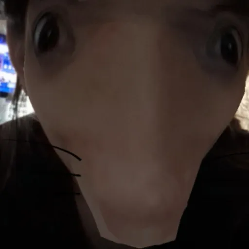 creator yourlocalweirdoඞ's avatar
