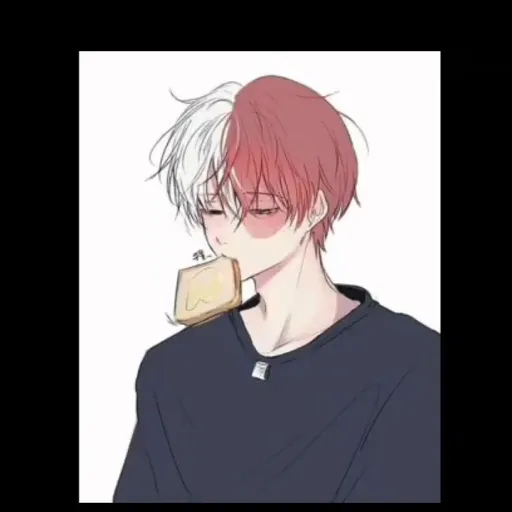 creator 🍪~shoto todoroki~🍪's avatar