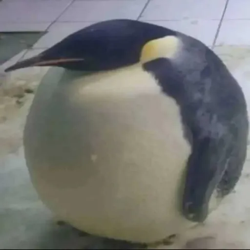 creator Penguin_Writes's avatar