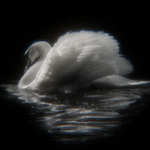 creator zLynn's avatar