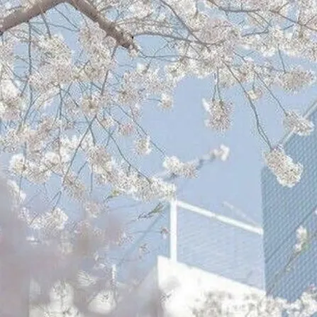 creator *.°『Alice』°.*'s avatar