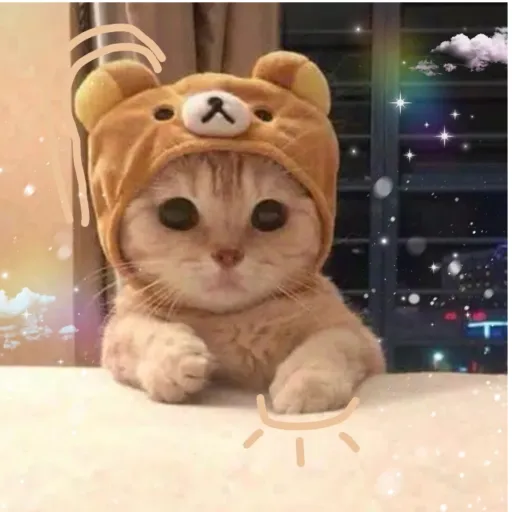 creator Luliash's avatar