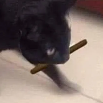 creator FTZblazed420's avatar