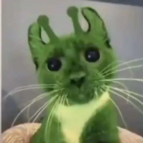 creator Alien cat :3's avatar