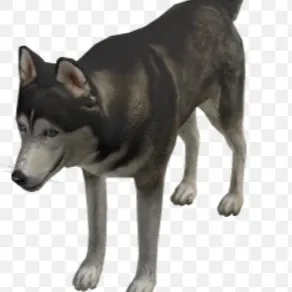 chat with ai character: statue Husky