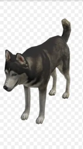 ai character: statue Husky background