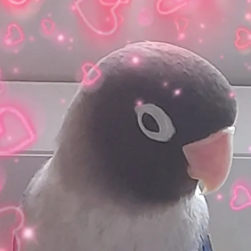 creator LuLu33<3's avatar
