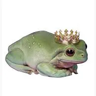 creator Midnightfrogking's avatar